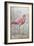 American Flamingo I-Tim O'toole-Framed Art Print