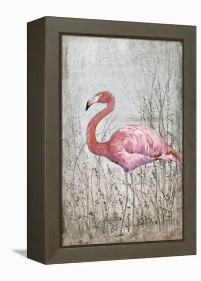 American Flamingo II-Tim O'toole-Framed Stretched Canvas