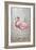 American Flamingo II-Tim O'toole-Framed Premium Giclee Print