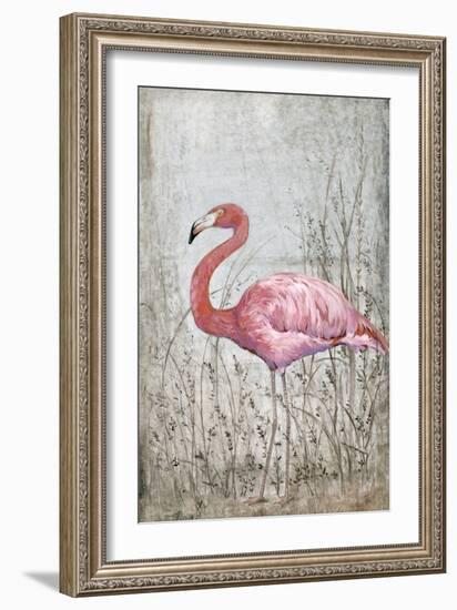 American Flamingo II-Tim O'toole-Framed Premium Giclee Print