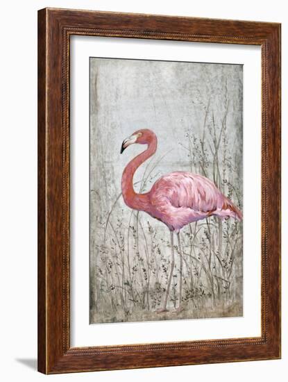 American Flamingo II-Tim O'toole-Framed Premium Giclee Print