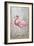 American Flamingo II-Tim O'toole-Framed Premium Giclee Print