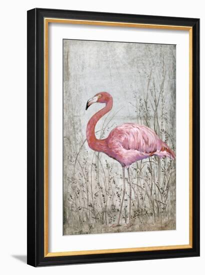 American Flamingo II-Tim O'toole-Framed Premium Giclee Print