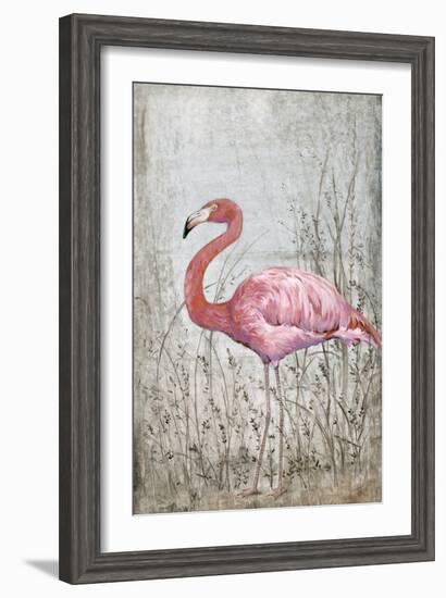 American Flamingo II-Tim O'toole-Framed Art Print