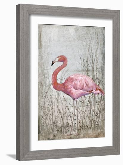 American Flamingo II-Tim O'toole-Framed Art Print