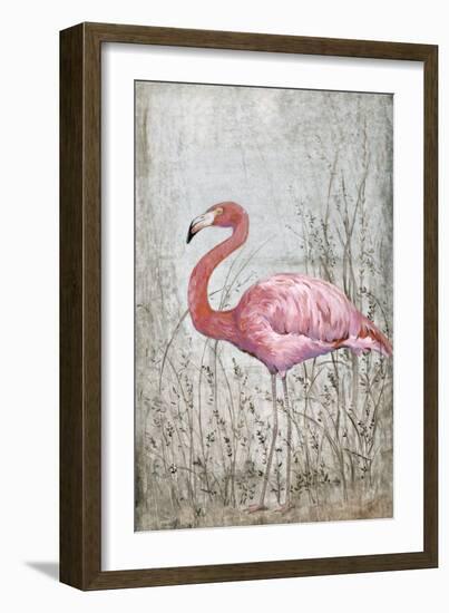 American Flamingo II-Tim O'toole-Framed Art Print