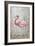 American Flamingo II-Tim O'toole-Framed Art Print