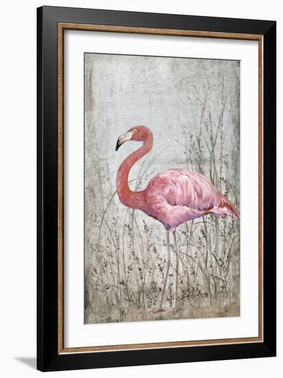 American Flamingo II-Tim O'toole-Framed Art Print