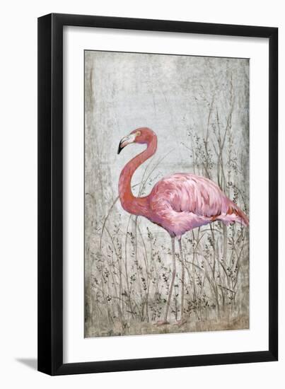 American Flamingo II-Tim O'toole-Framed Art Print