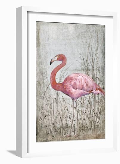 American Flamingo II-Tim O'toole-Framed Art Print