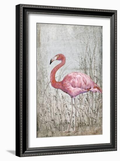 American Flamingo II-Tim O'toole-Framed Art Print