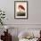 American Flamingo-John James Audubon-Framed Art Print displayed on a wall