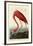 American Flamingo-John James Audubon-Framed Art Print