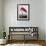 American Flamingo-John James Audubon-Framed Premium Giclee Print displayed on a wall