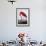 American Flamingo-John James Audubon-Framed Giclee Print displayed on a wall