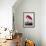 American Flamingo-John James Audubon-Framed Giclee Print displayed on a wall