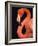 American flamingo-Herbert Kehrer-Framed Photographic Print