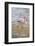 American Flamingo-DLILLC-Framed Photographic Print