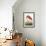 American Flamingo-John James Audubon-Framed Art Print displayed on a wall