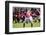 American Football Game with out of Focus Players in the Background-melis-Framed Photographic Print