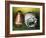 American Football Helmet and a Football-null-Framed Photographic Print