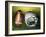 American Football Helmet and a Football-null-Framed Photographic Print