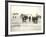 American Forces Landing at Arzew, Algeria During Operation Torch-null-Framed Photographic Print