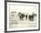 American Forces Landing at Arzew, Algeria During Operation Torch-null-Framed Photographic Print