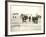 American Forces Landing at Arzew, Algeria During Operation Torch-null-Framed Photographic Print