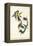 American Goldfinch-John James Audubon-Framed Stretched Canvas