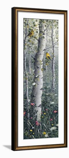 American Goldfinch-Jeff Tift-Framed Giclee Print