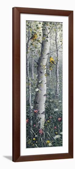 American Goldfinch-Jeff Tift-Framed Giclee Print