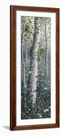 American Goldfinch-Jeff Tift-Framed Giclee Print