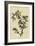 American Goldfinch-null-Framed Giclee Print