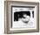 American Graffiti-null-Framed Photo