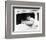 American Graffiti-null-Framed Photo