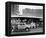 American Graffiti-null-Framed Stretched Canvas