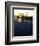 American Graffiti-null-Framed Photo