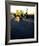 American Graffiti-null-Framed Photo