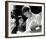 American Graffiti-null-Framed Photo