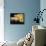 American Graffiti-null-Framed Stretched Canvas displayed on a wall