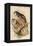 American Hawk Owl-John Gould-Framed Stretched Canvas