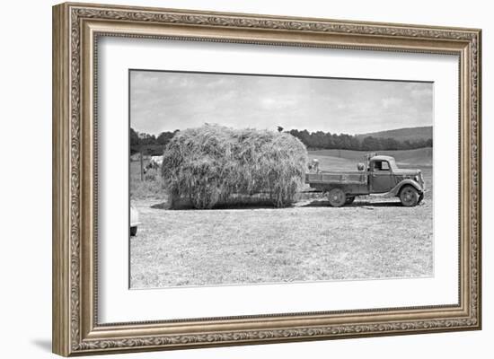 American Hay Farmer-null-Framed Giclee Print