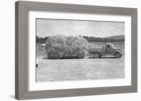 American Hay Farmer-null-Framed Giclee Print