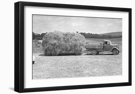 American Hay Farmer-null-Framed Giclee Print