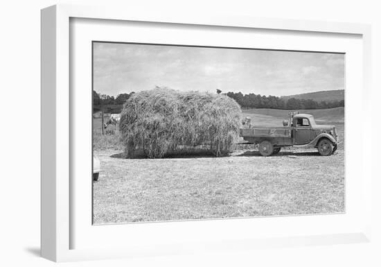 American Hay Farmer-null-Framed Giclee Print