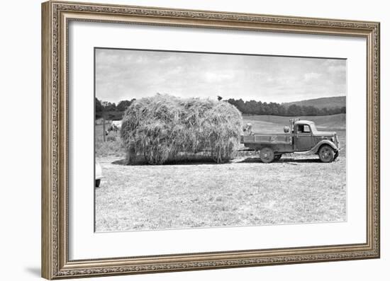 American Hay Farmer-null-Framed Giclee Print