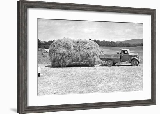 American Hay Farmer-null-Framed Giclee Print