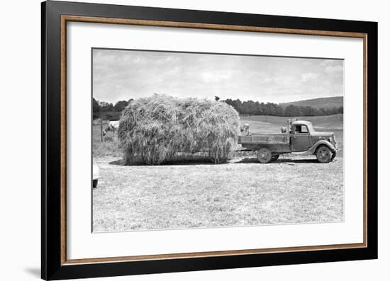 American Hay Farmer-null-Framed Giclee Print