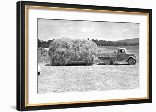 American Hay Farmer-null-Framed Giclee Print